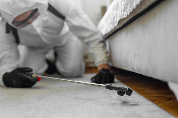 Professional Termite Control technician working in Englewood, FL