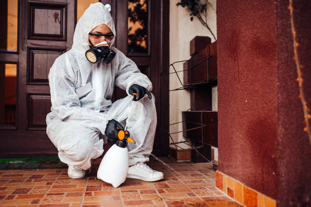 Reliable Termite Control contractor in Englewood, FL by Nex Pest Control