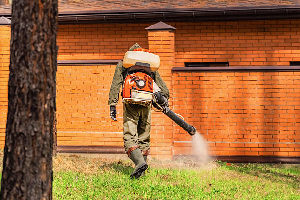 Trusted Cockroach Control service in Englewood, FL - Nex Pest Control